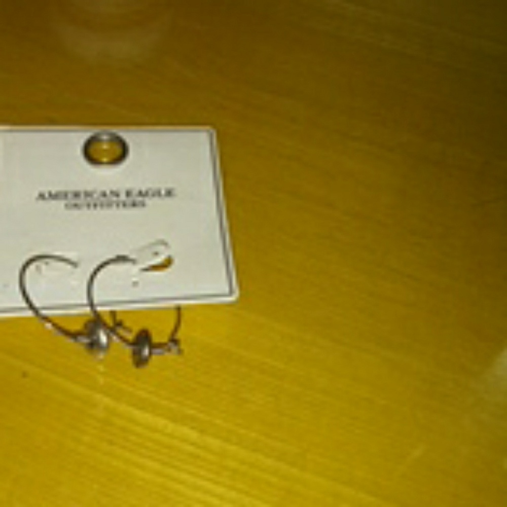 American Eagle Earrings
